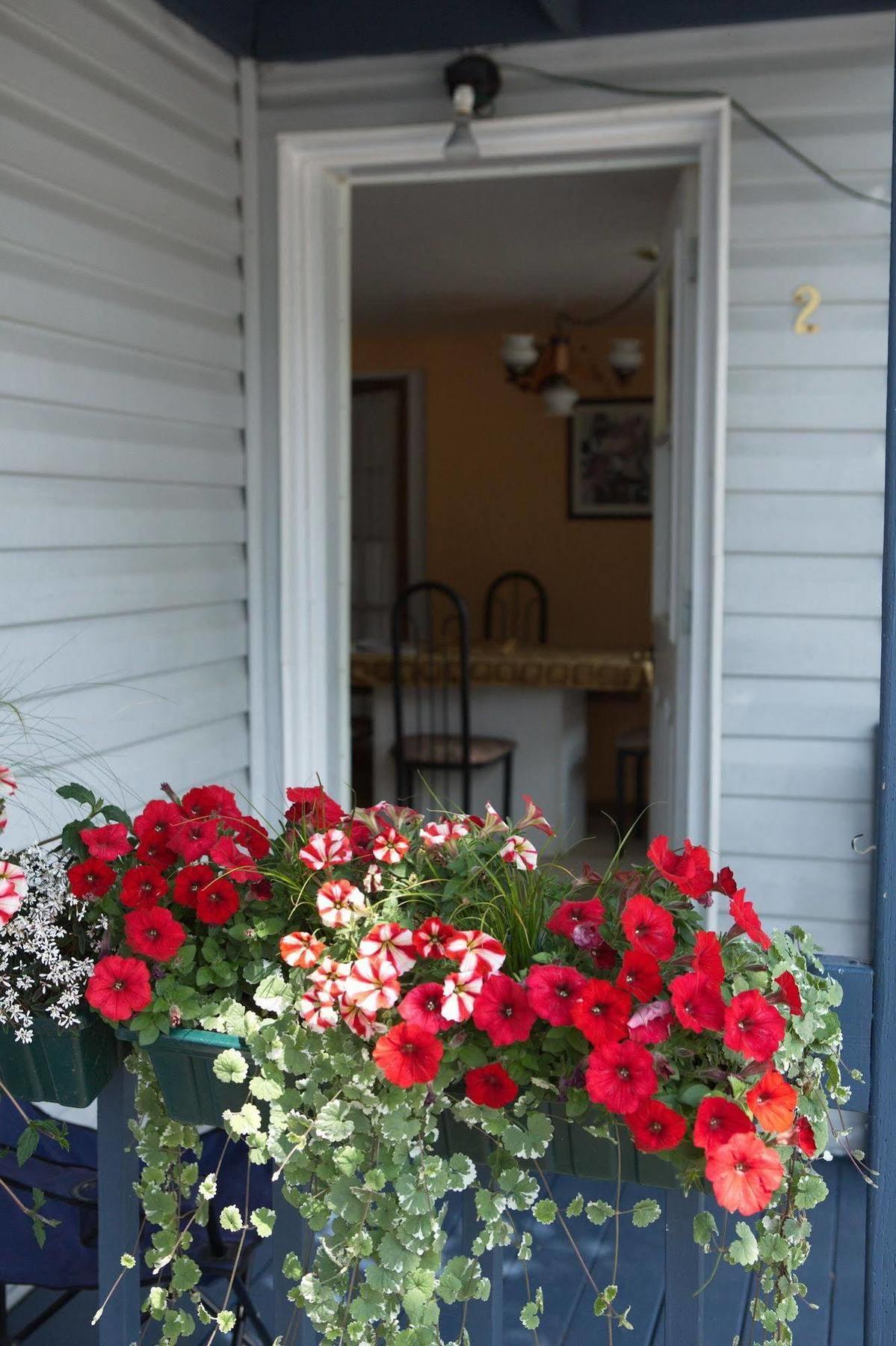 Les Appartements De La Bergeronnette Grandes-Bergeronnes Kültér fotó